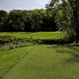 Here's a pic of a golf course to get you in the mood.